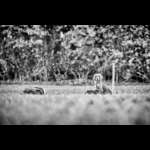WR091118-2