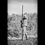 WR081119-20