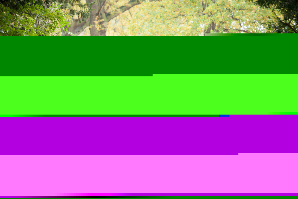 WR081119-535