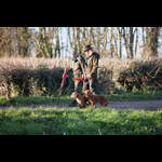 WR221124-236