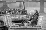 RS201225-186