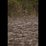 IMG_5220 web