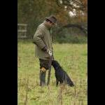 IMG_5250 web