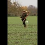 IMG_5151 web