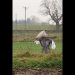 IMG_5173 web