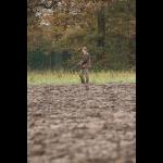 IMG_5181 web