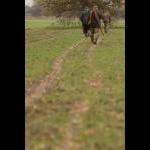 IMG_5369 web