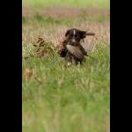 IMG_5494 web