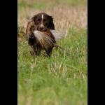 IMG_5495 web
