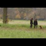 IMG_5499 web