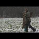 picture-5