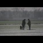 picture-66