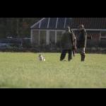 picture-12