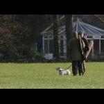 picture-6