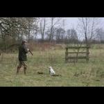 picture-61