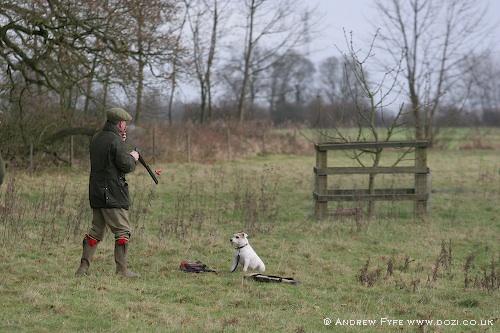 picture-61