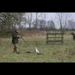 picture-62