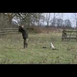 picture-64