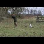 picture-65