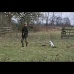 picture-66