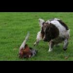 picture-71