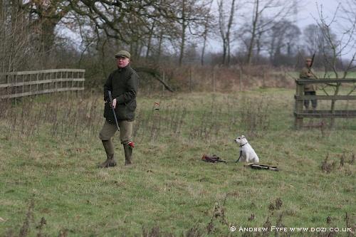 picture-66