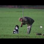 IMG_3671ab