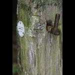 IMG_3744ab