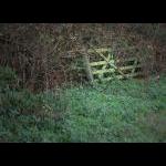 IMG_3750ab