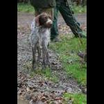 IMG_3773ab