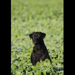 IMG_4002sm
