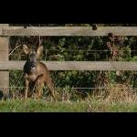 IMG_4038sm