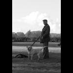 IMG_4081sm