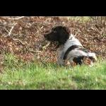 IMG_7597a