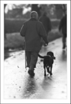 Mans best Friend