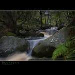 Landscape Photography