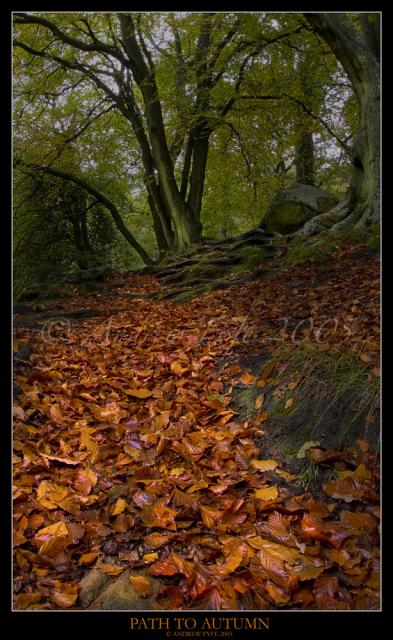 Path-to-Autumn