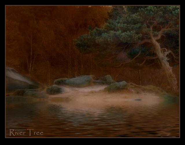 River-Tree