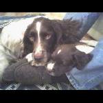 Griff and his brother Finley