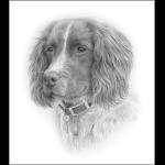 portrait of griff
