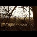 HPRTrial2006  062