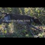 HPRTrial2006  063