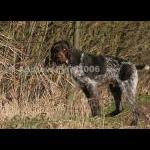 HPRTrial2006  096
