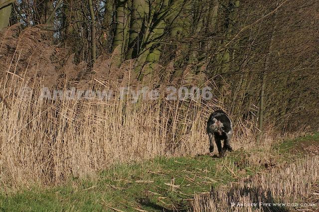HPRTrial2006  095