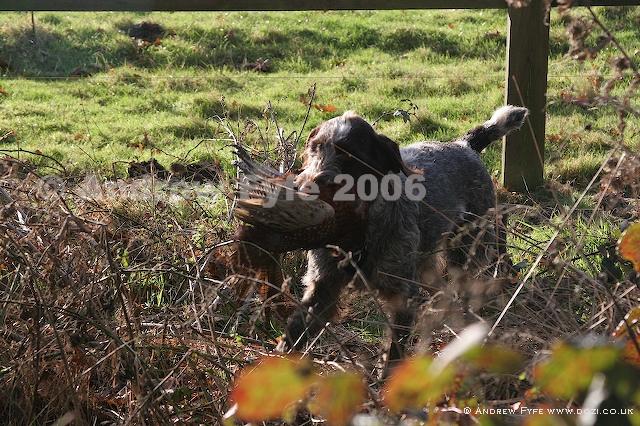 HPRTrial2006  119