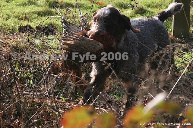 HPRTrial2006  120