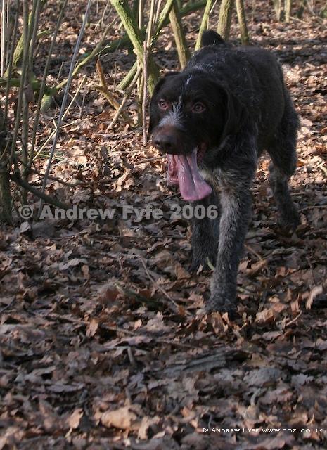 HPRTrial2006  173