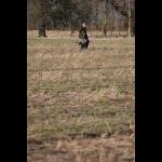 IMG_5695