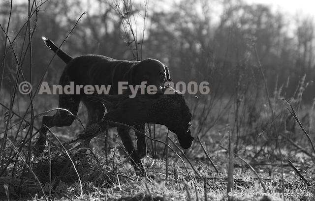 HPRTrial2006  222