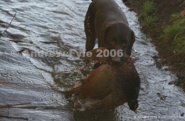 HPRTrial2006  223